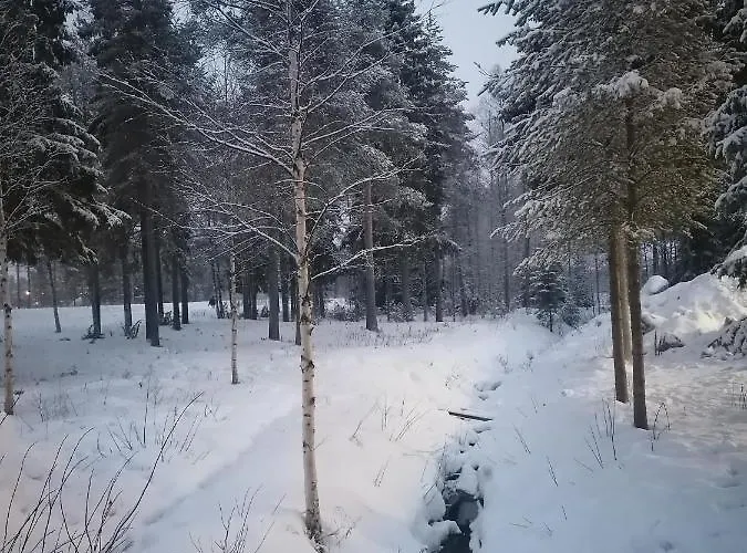 Tikka Хостел *